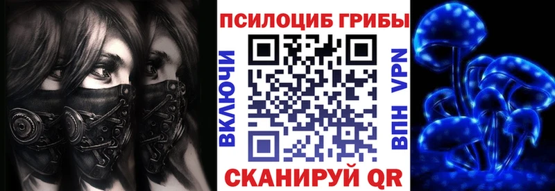 Купить закладки  Саки  Псилоцибиновые грибы мухоморы 